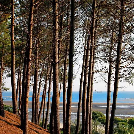 Calme Au Centre D'arcachon, Proche Plages, Commerces Et Gare - Fr-1-420-134 公寓