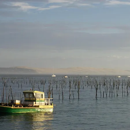 公寓 Calme Au Centre D'arcachon, Proche Plages, Commerces Et Gare - Fr-1-420-134 阿卡雄